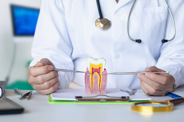 Best Emergency Denture Repair in Lockney, TX